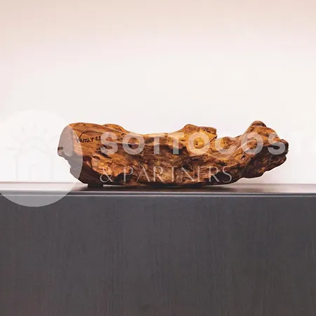 Apartament Vitto Luxury *